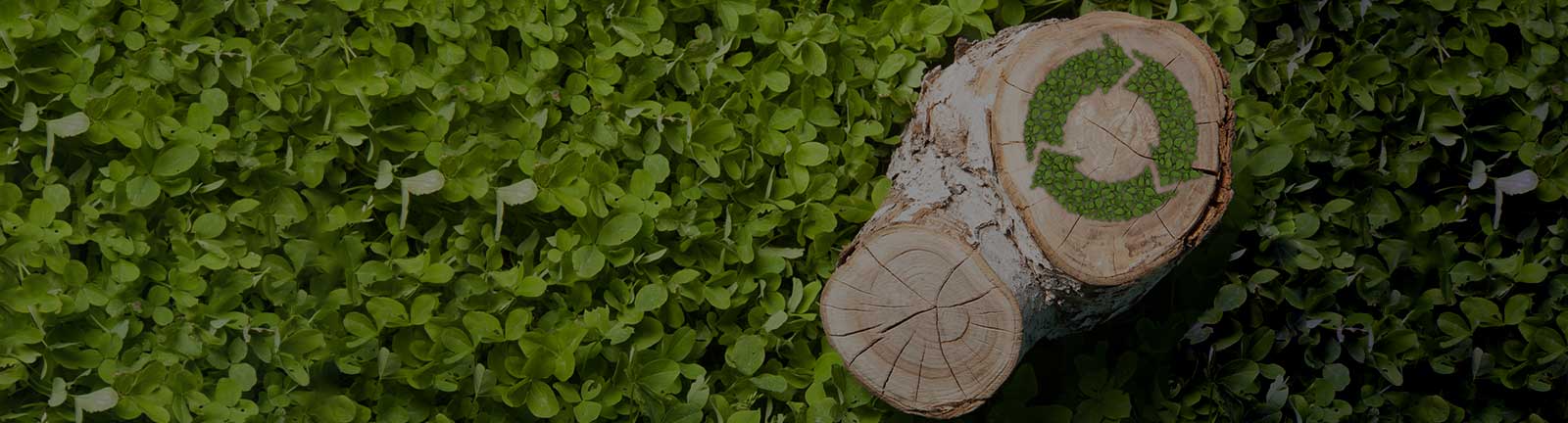 Future proof sales enablement strategies for ESG firms
