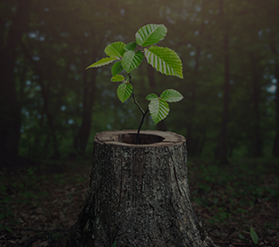 Trends driving positive environmental and social